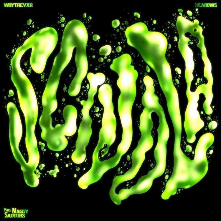 Cover della canzone 'SCIVOLA !!' di WhyTrevxr ft. headows