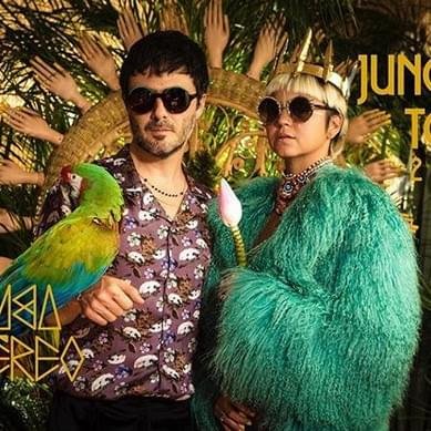 Foto di Bomba Estéreo, artista con ruolo nel rap italiano