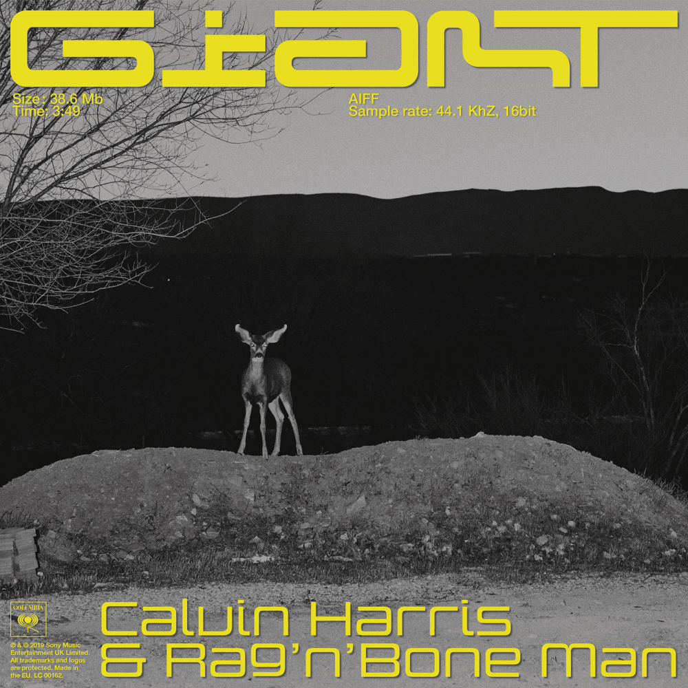 Cover della canzone 'Giant' di Calvin Harris, Rag’n’Bone Man