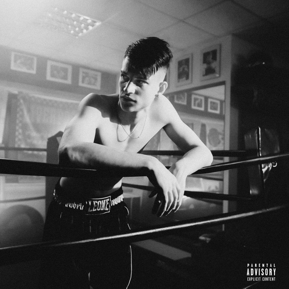 Cover della canzone 'FRIDD NGUOLL’' di Capozanarky