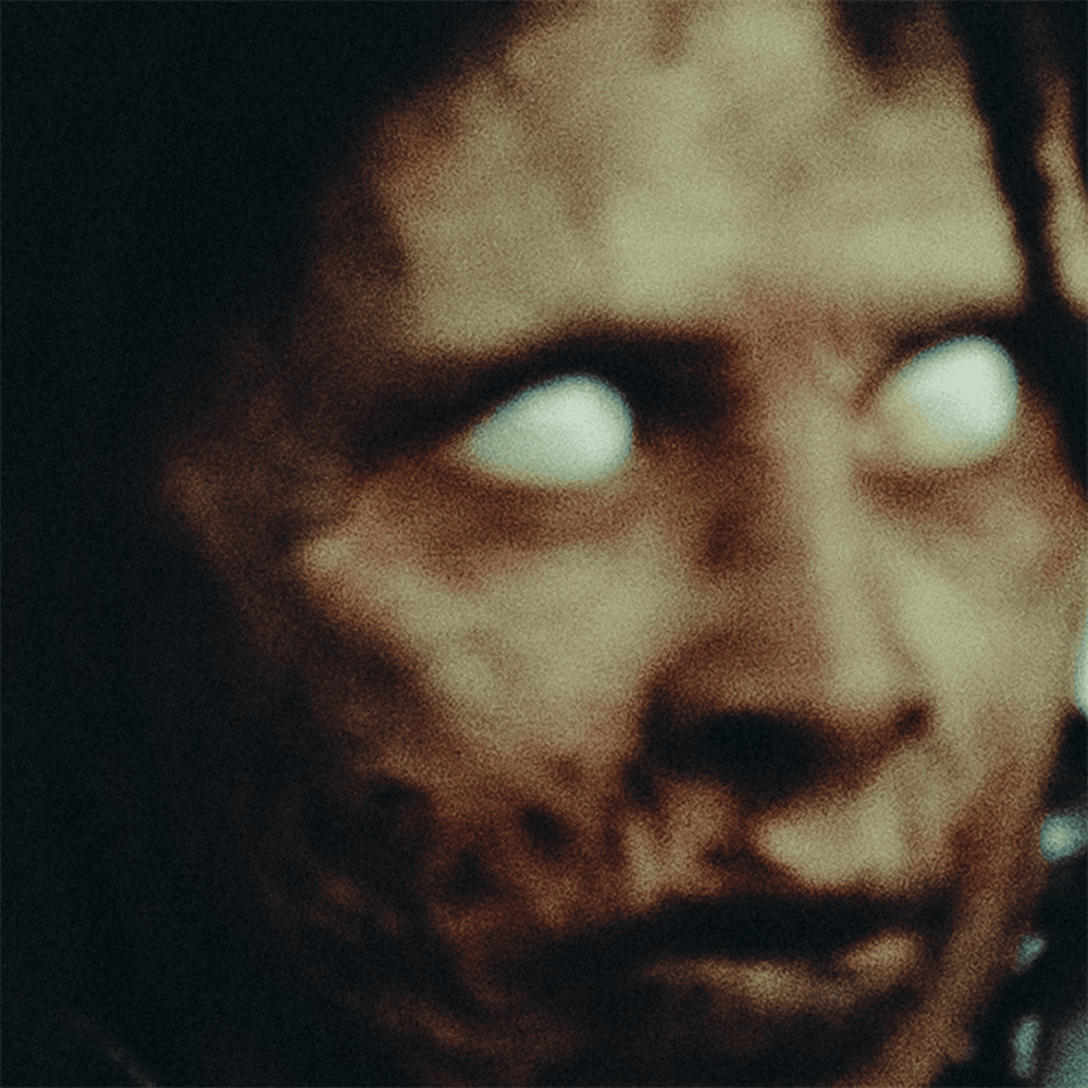 Cover della canzone 'Lupo' di chiello