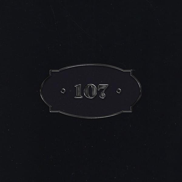 Cover della canzone 'Stanza 107' di chiello