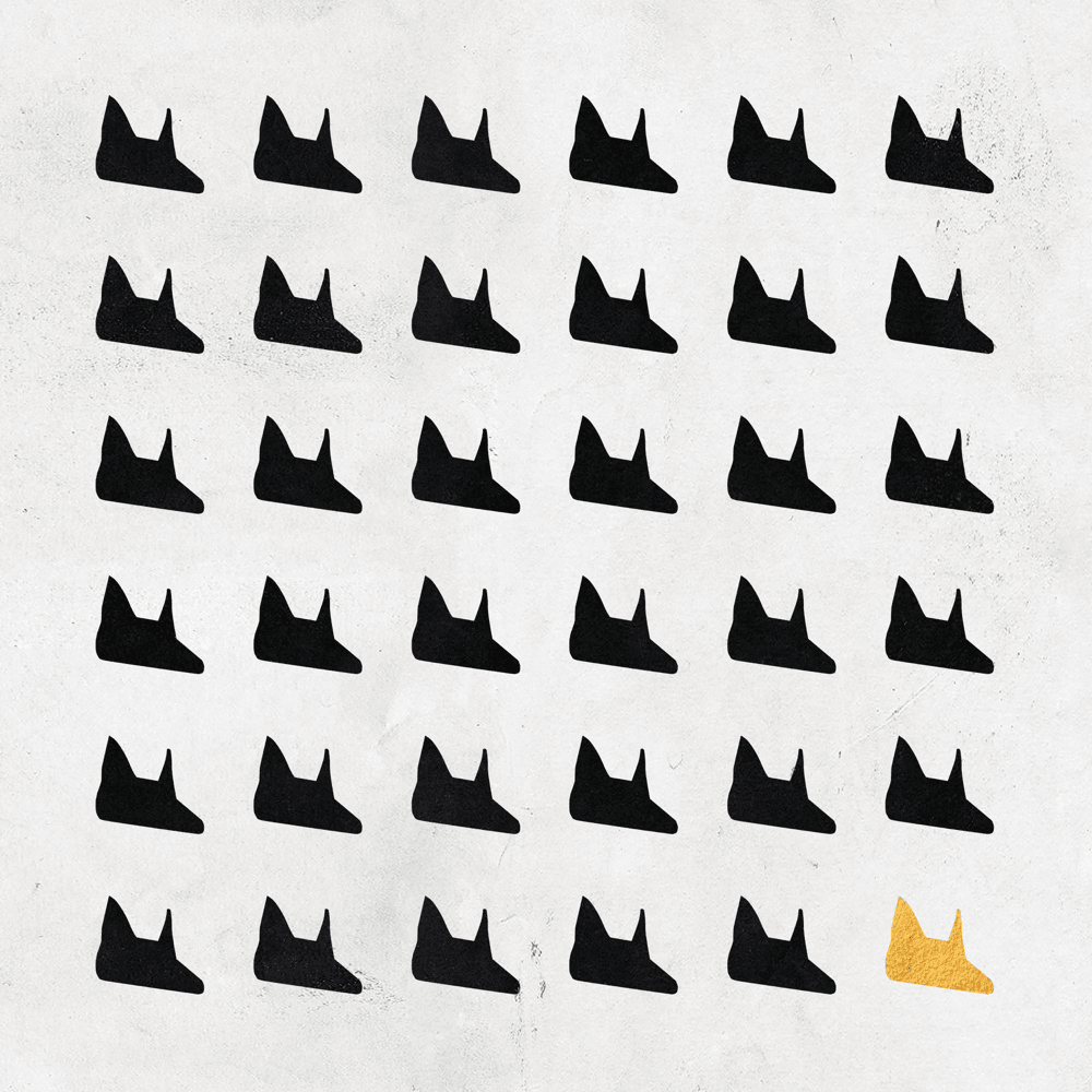 Cover della canzone 'Con i miei brothers' di Claver Gold