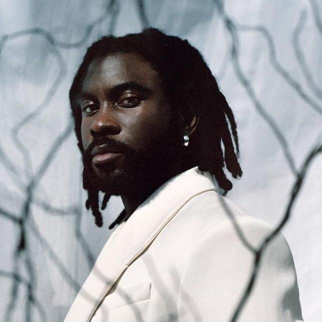 Foto di Damso, artista con ruolo nel rap italiano