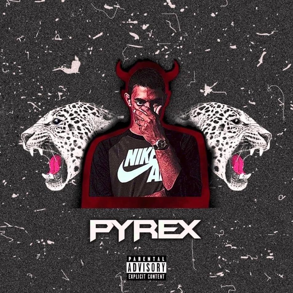 Cover della canzone 'Principe Pyrex' di Dark Polo Gang