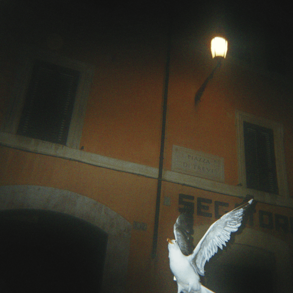 Cover della canzone 'Accattone' di Frah Quintale