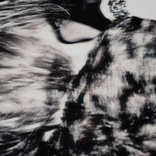 Cover della canzone 'crimson desire' di hotmodelex