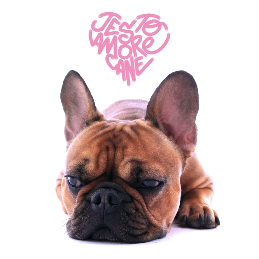 Cover della canzone 'Amore Cane' di Jesto