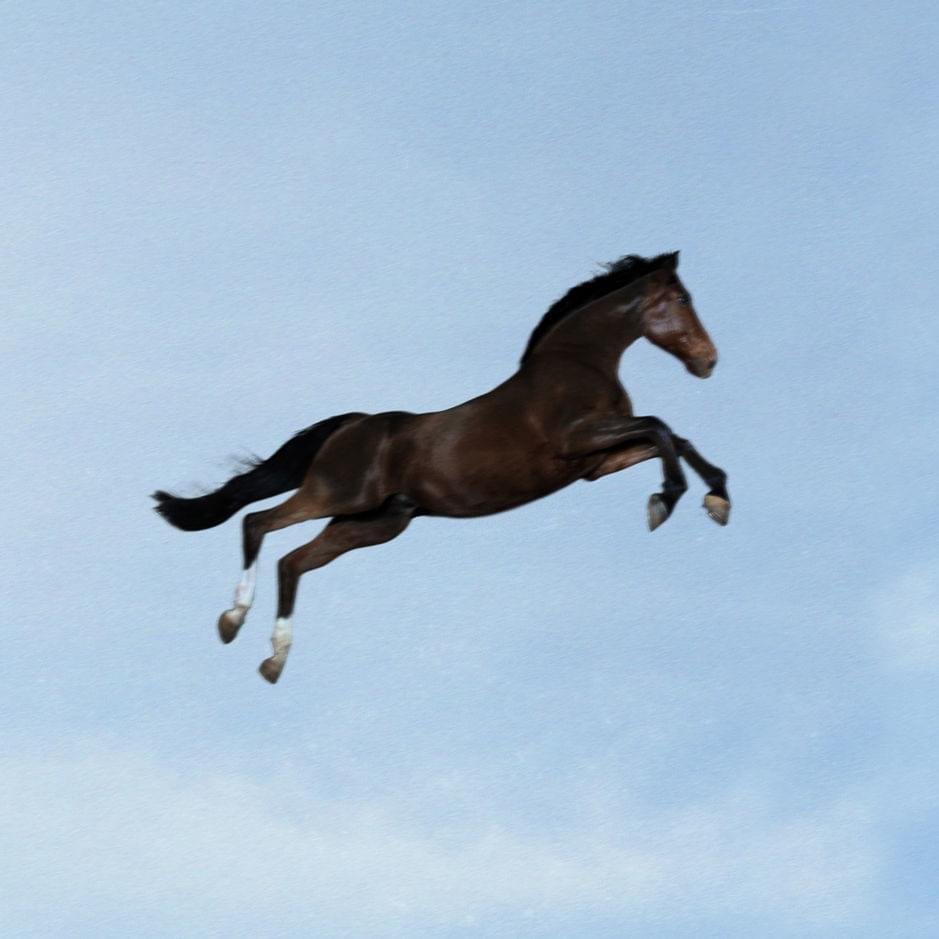 Cover della canzone 'Tutto L’Amore Che Ho' di Jovanotti