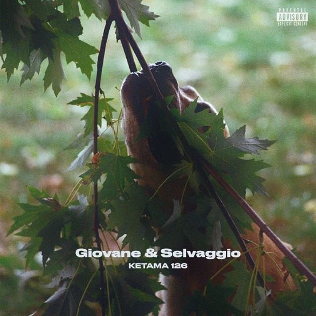Cover della canzone 'Giovane & Selvaggio' di Ketama126