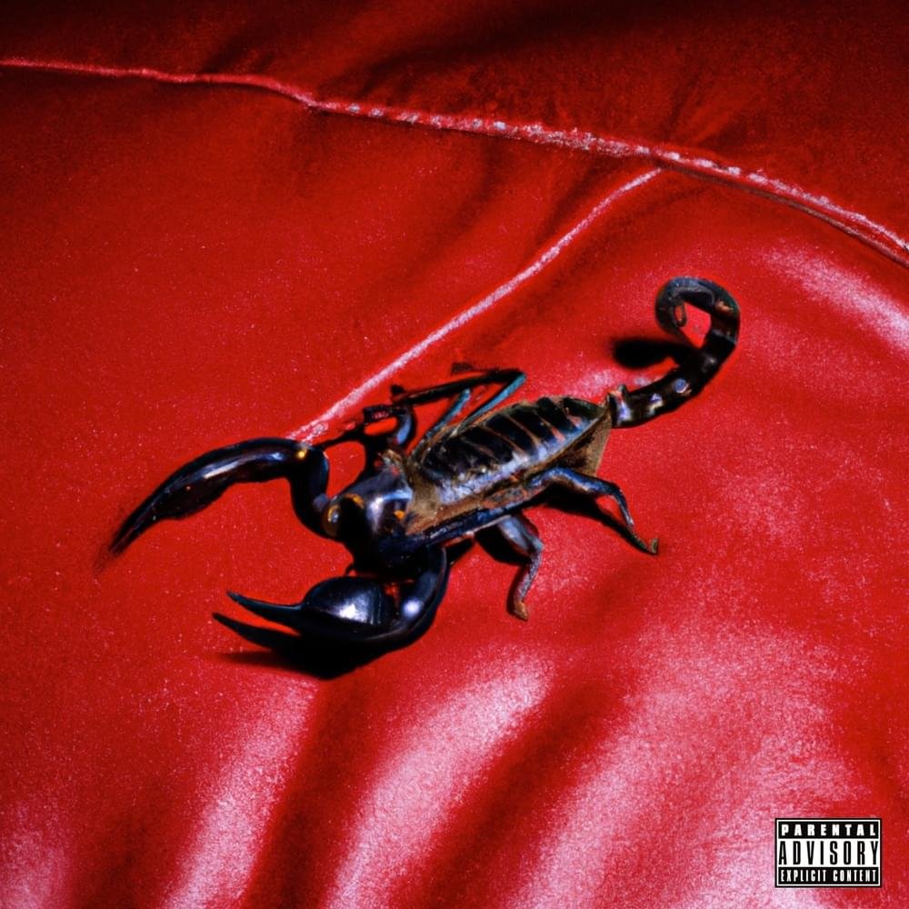 Cover della canzone 'VELENOSA' di Lil Busso, Tredici Pietro