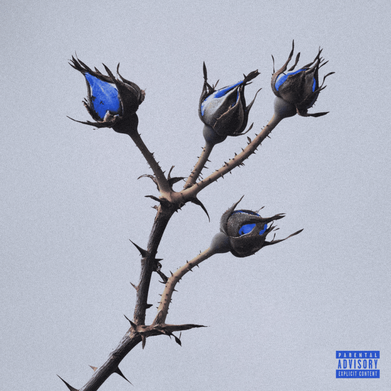 Cover della canzone 'Petali (Osama 3)' di Melons