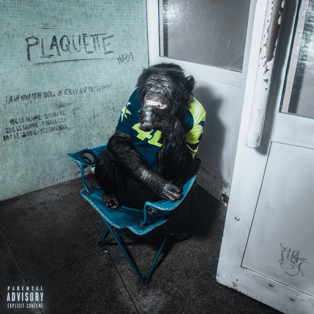 Cover della canzone 'Plaquette' di Nabi