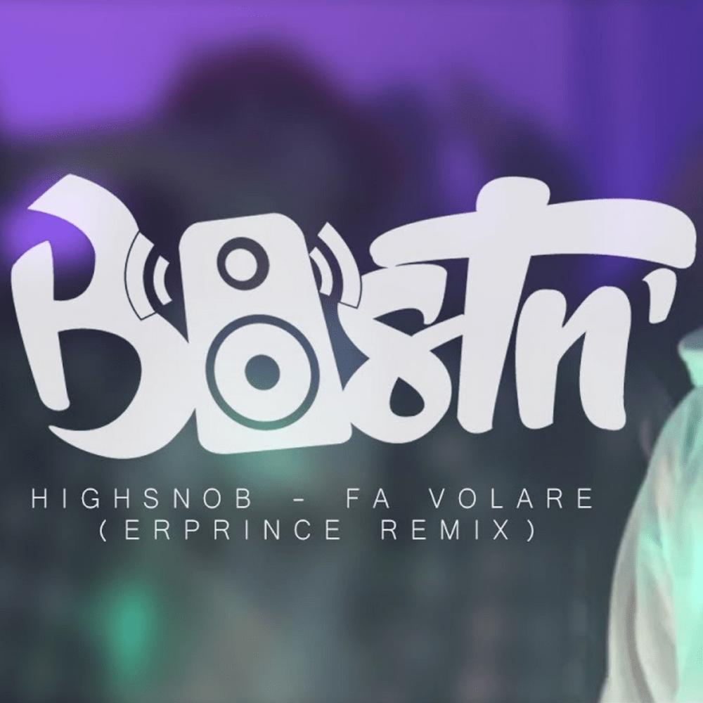 Cover della canzone 'Fa volare Remix' di Prince.wav