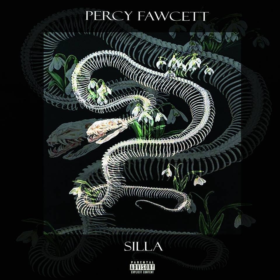 Cover della canzone 'Percy Fawcett' di Silla DDR