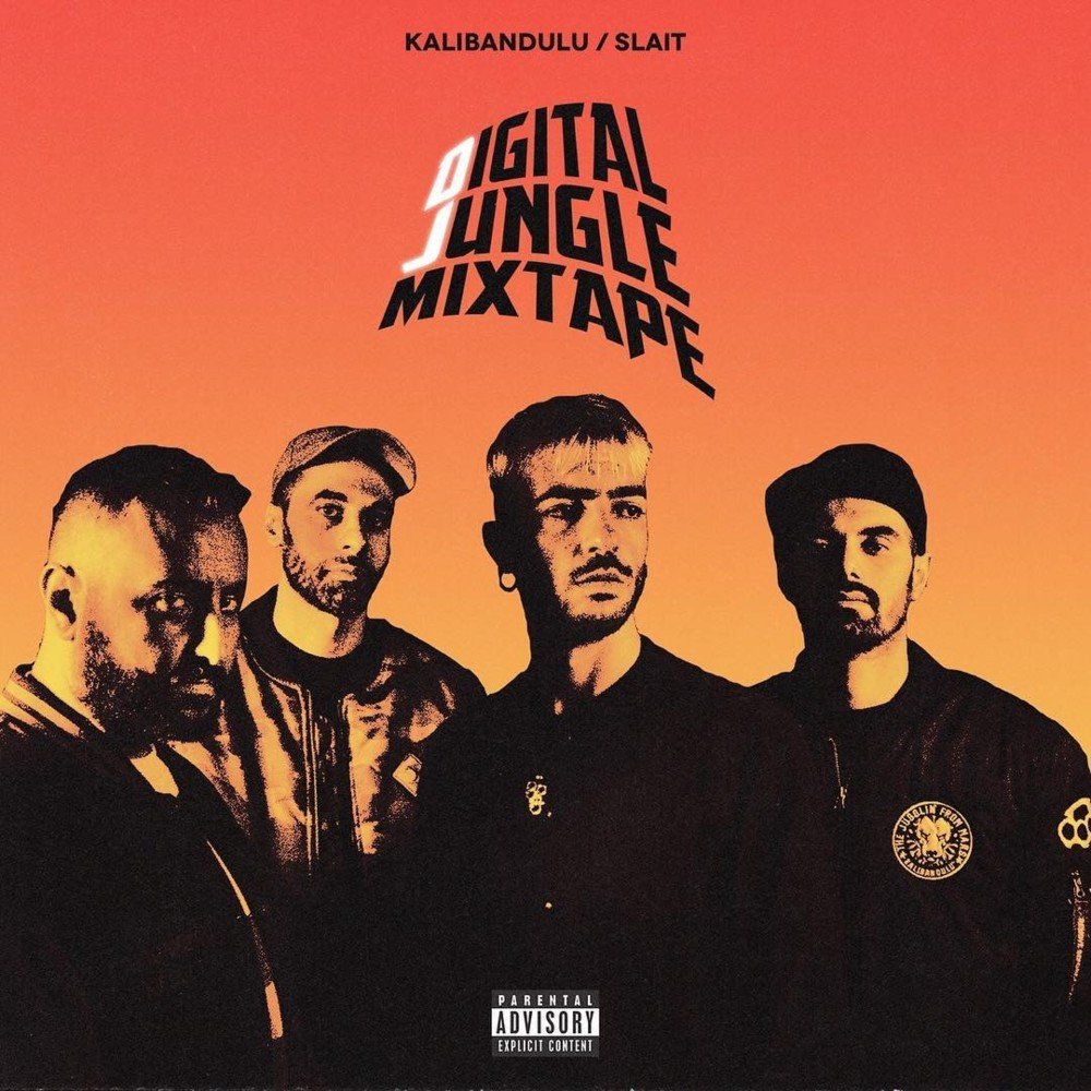 Cover dell'album 'Digital Jungle Mixtape' di Slait, Kalibandulu