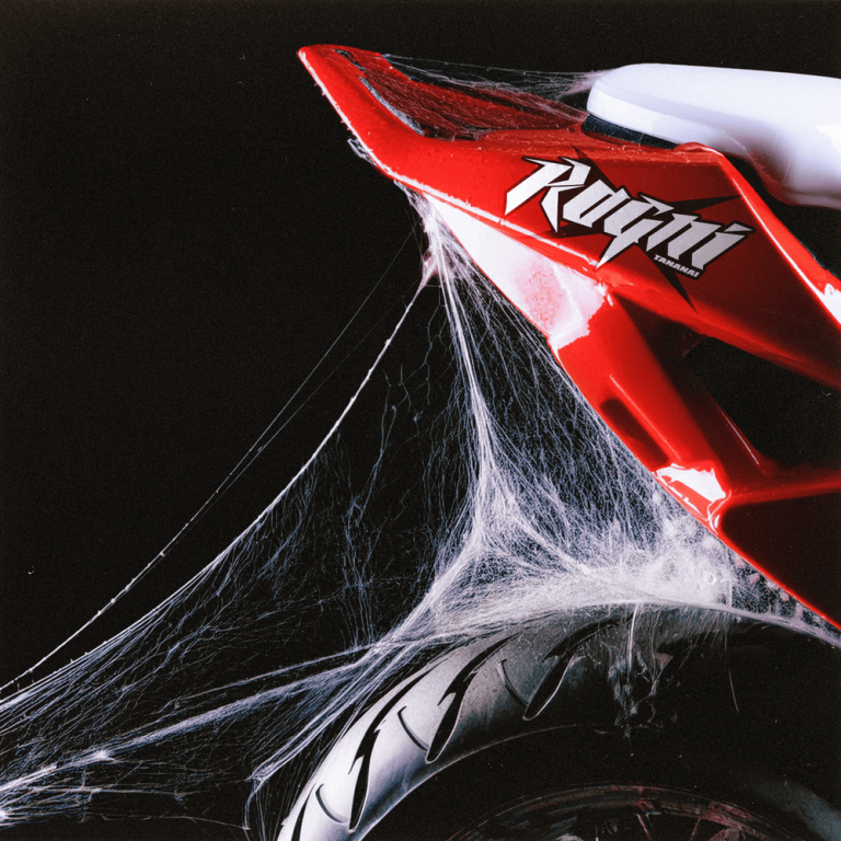 Cover della canzone 'RAGNI' di Tananai