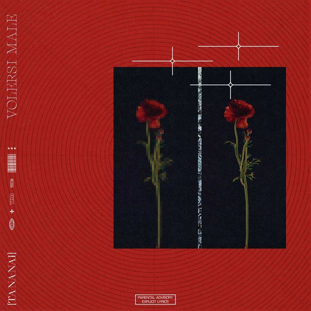 Cover della canzone 'Volersi male' di Tananai