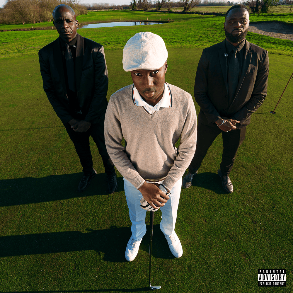 Cover della canzone 'TIGER WOODS' di The Luxe