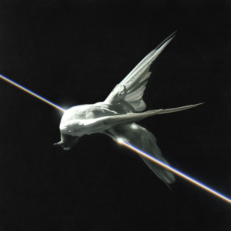 Cover della canzone 'LA FRETTA' di Tredici Pietro