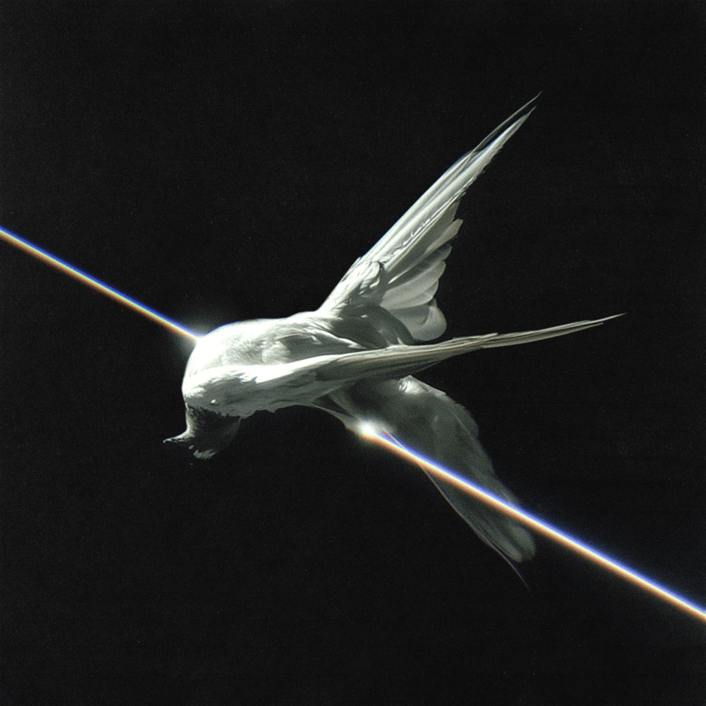 Cover della canzone 'LA FRETTA' di Tredici Pietro