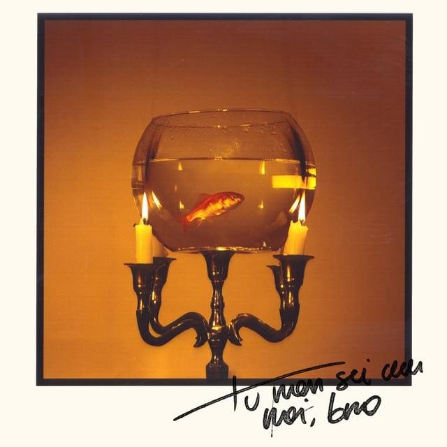 Cover della canzone 'Tu Non Sei Con Noi, Bro' di Tredici Pietro