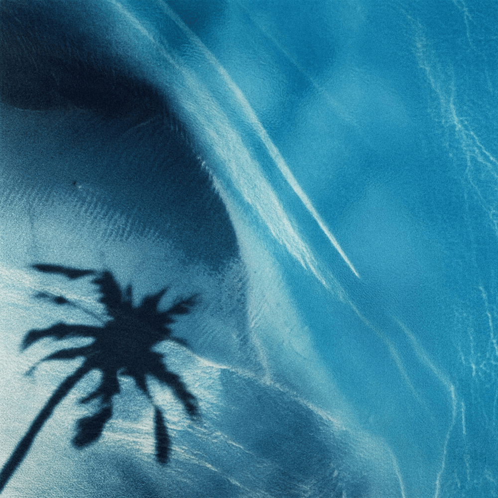 Cover della canzone 'Palese' di Vaz Tè ft. Bresh