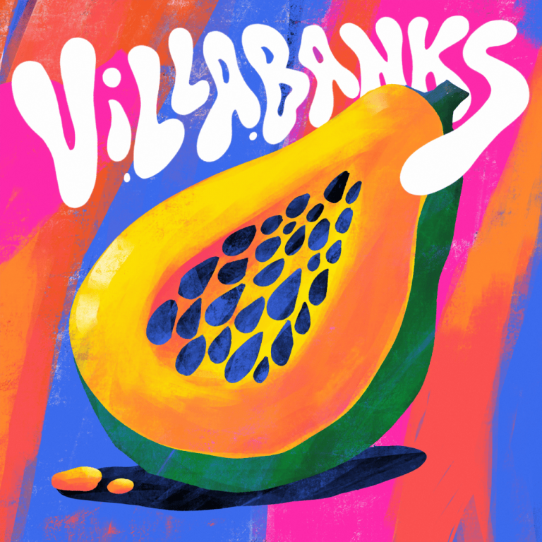 Cover della canzone 'Papaya' di VillaBanks