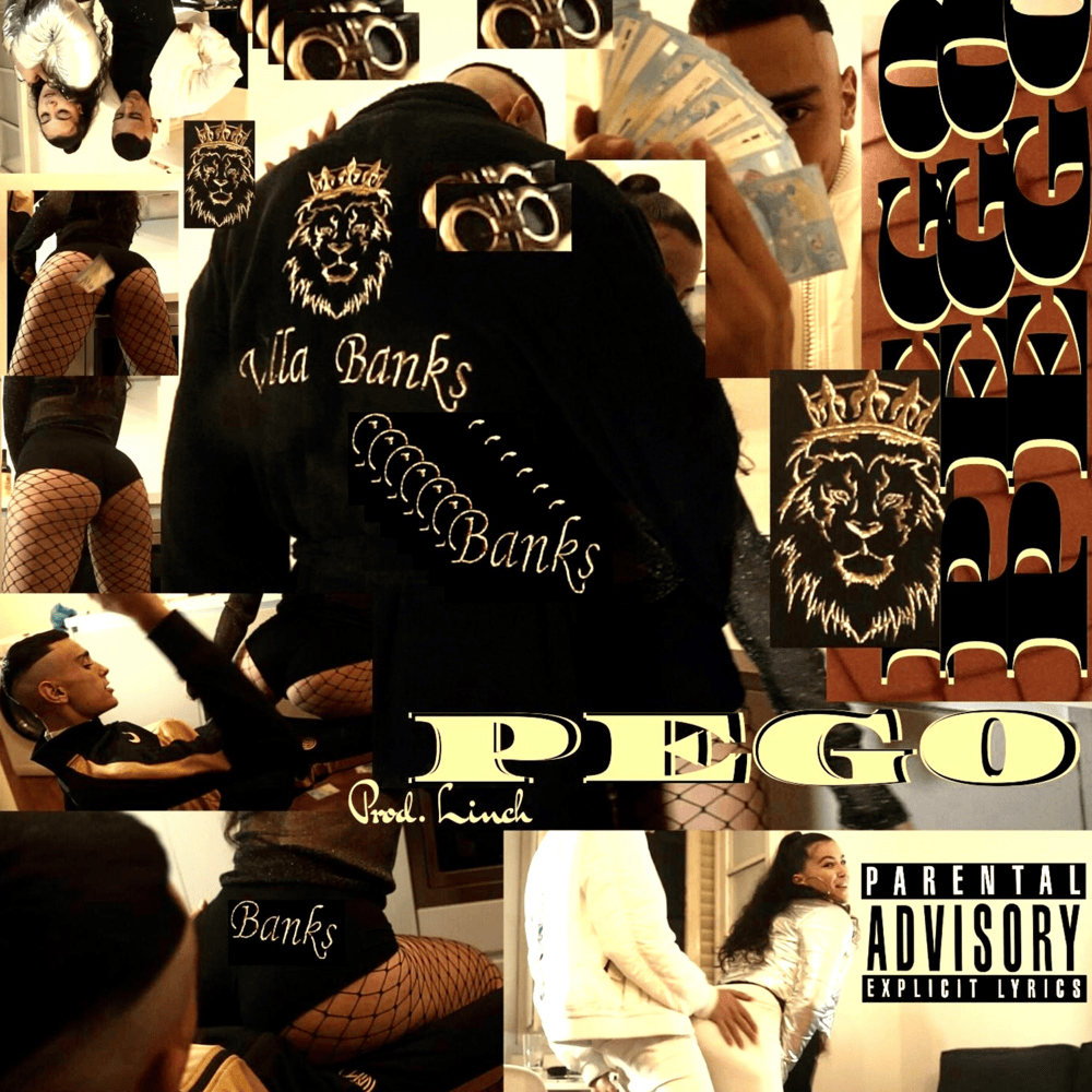 Cover della canzone 'Pego' di VillaBanks