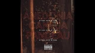 Cover della canzone 'M’ama non m’ama' di Anedonia ft. Caneda