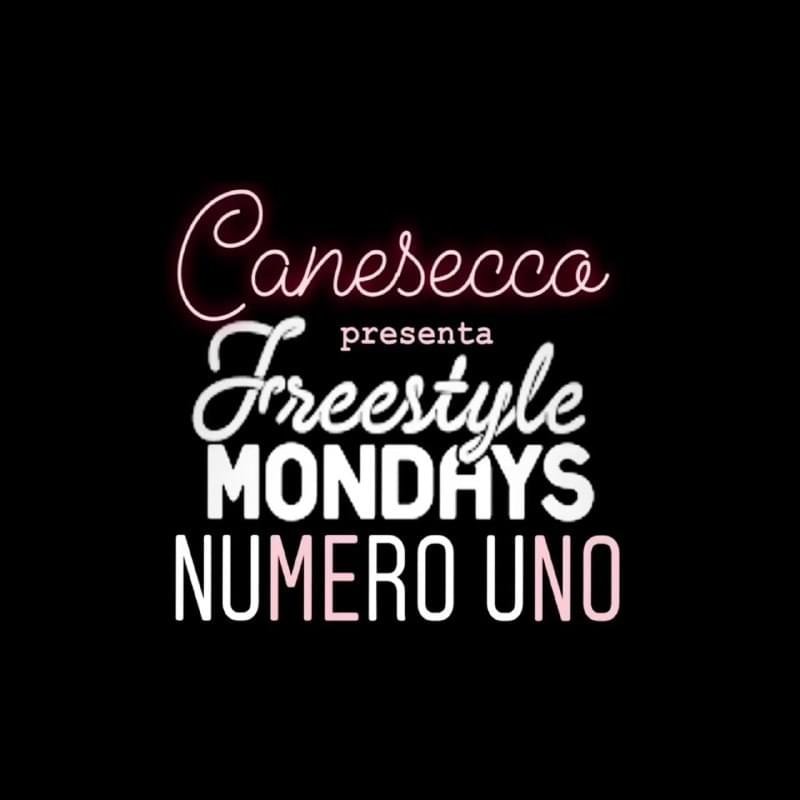 Cover della canzone 'Monday Freestyle 01' di CaneSecco