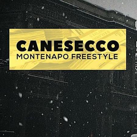Cover della canzone 'Montenapo (Illegal Freestyle)' di CaneSecco