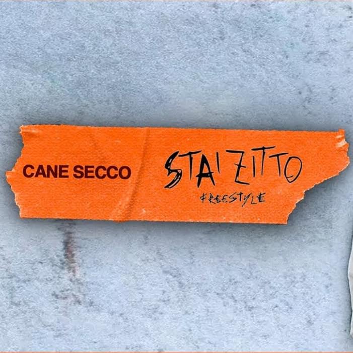 Cover della canzone 'Stai Zitto (Illegal Freestyle)' di CaneSecco