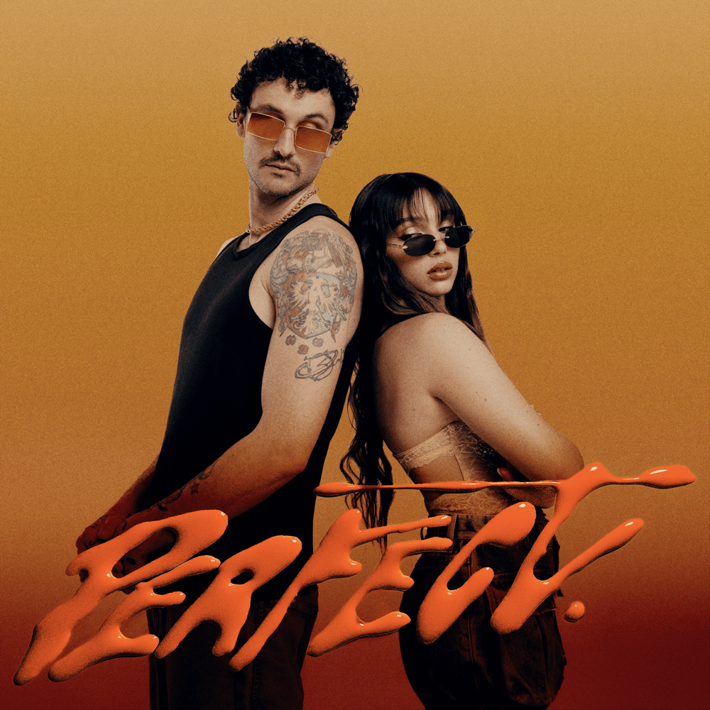 Cover della canzone 'PERFECT' di Carl Brave ft. Sarah Toscano