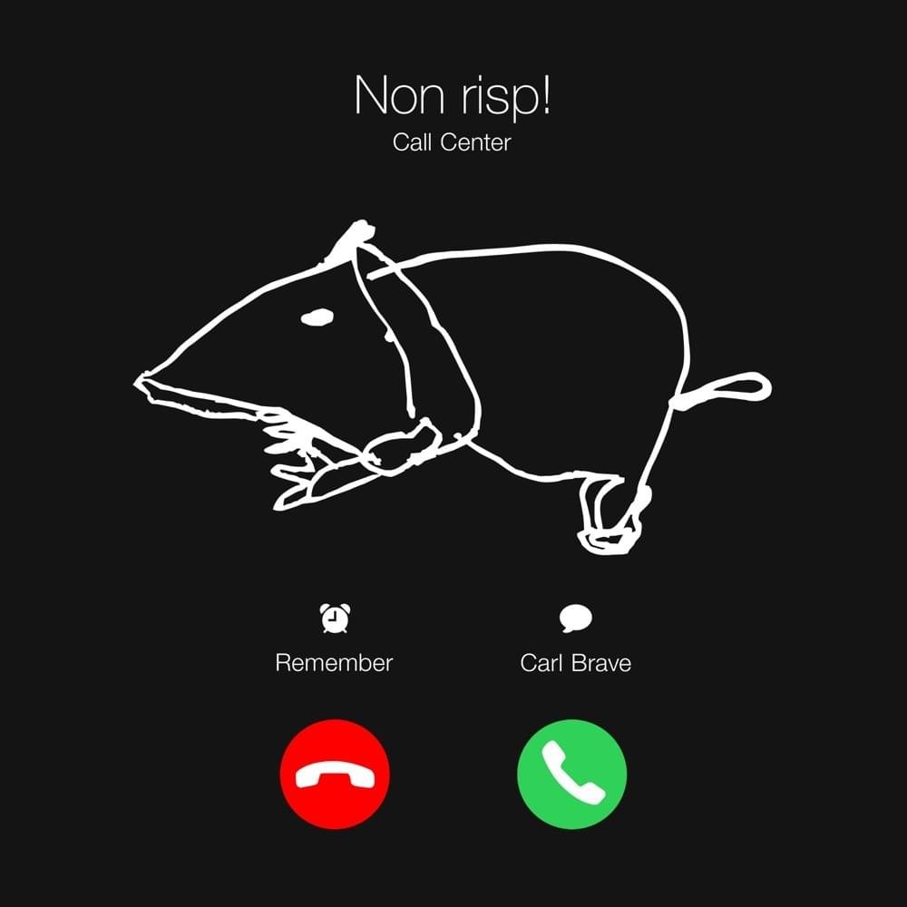 Cover della canzone 'Remember' di Carl Brave