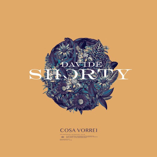 Cover della canzone 'Cosa Vorrei' di Davide Shorty