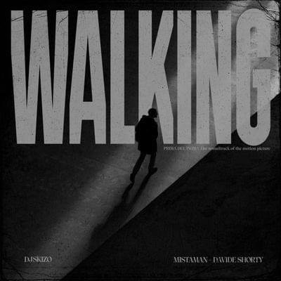Cover della canzone 'WALKING' di DJ Skizo ft. DJ Ghost aka Steeni, Davide Shorty, Mistaman