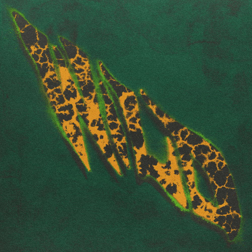 Cover della canzone 'WILD' di Ensi