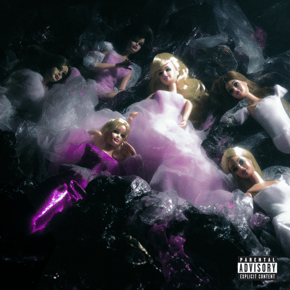 Cover della canzone 'Modelle & Delinquenti' di Faneto