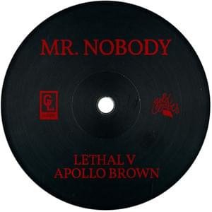 Cover della canzone 'Mr. Nobody' di Lethal V