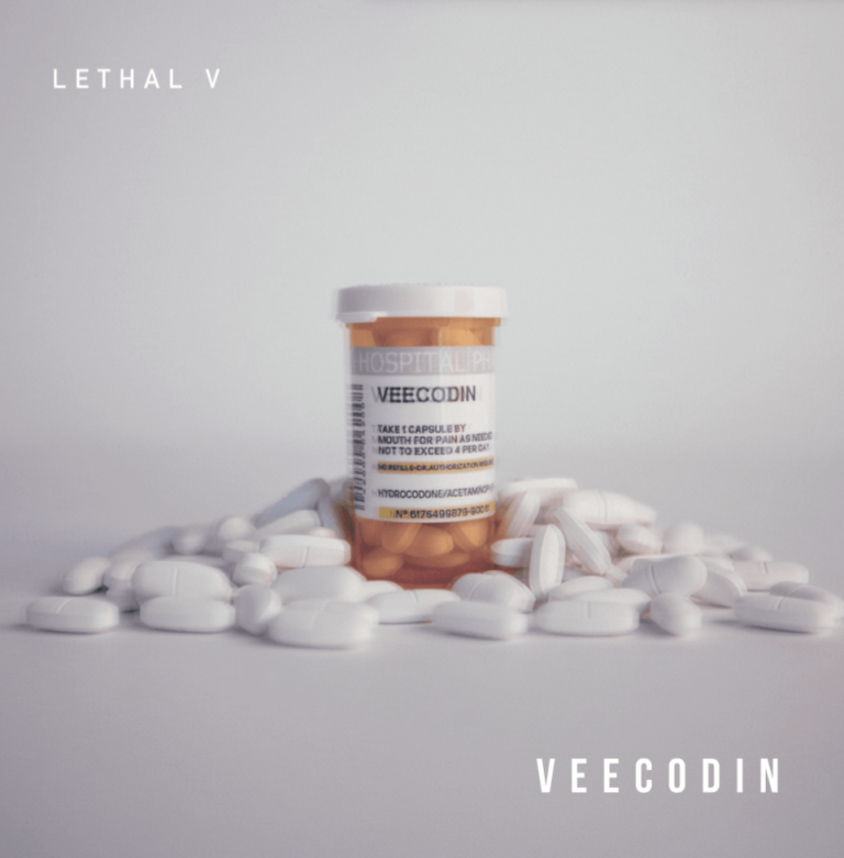 Cover dell'album 'Veecodin' di Lethal V