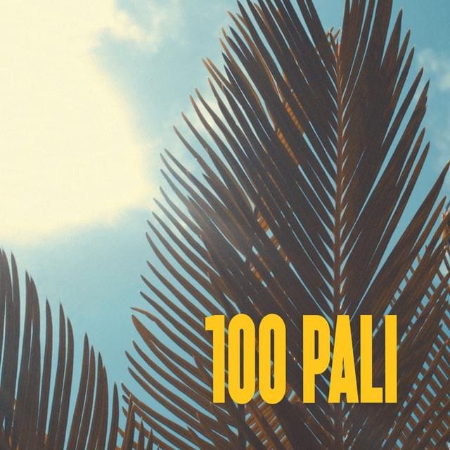 Cover della canzone '100 Pali' di Nader Shah
