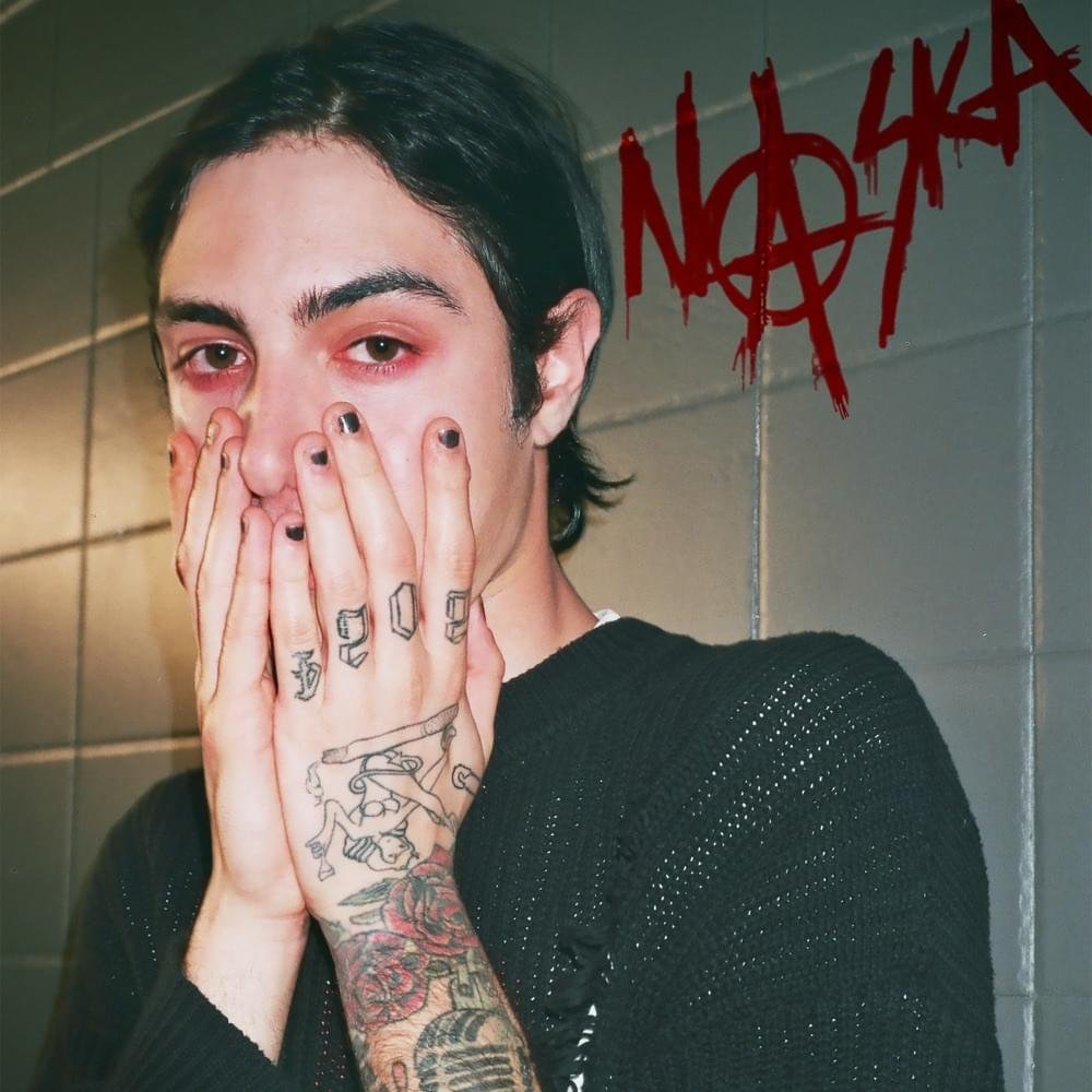 Cover della canzone 'Non fidarti' di NASKA