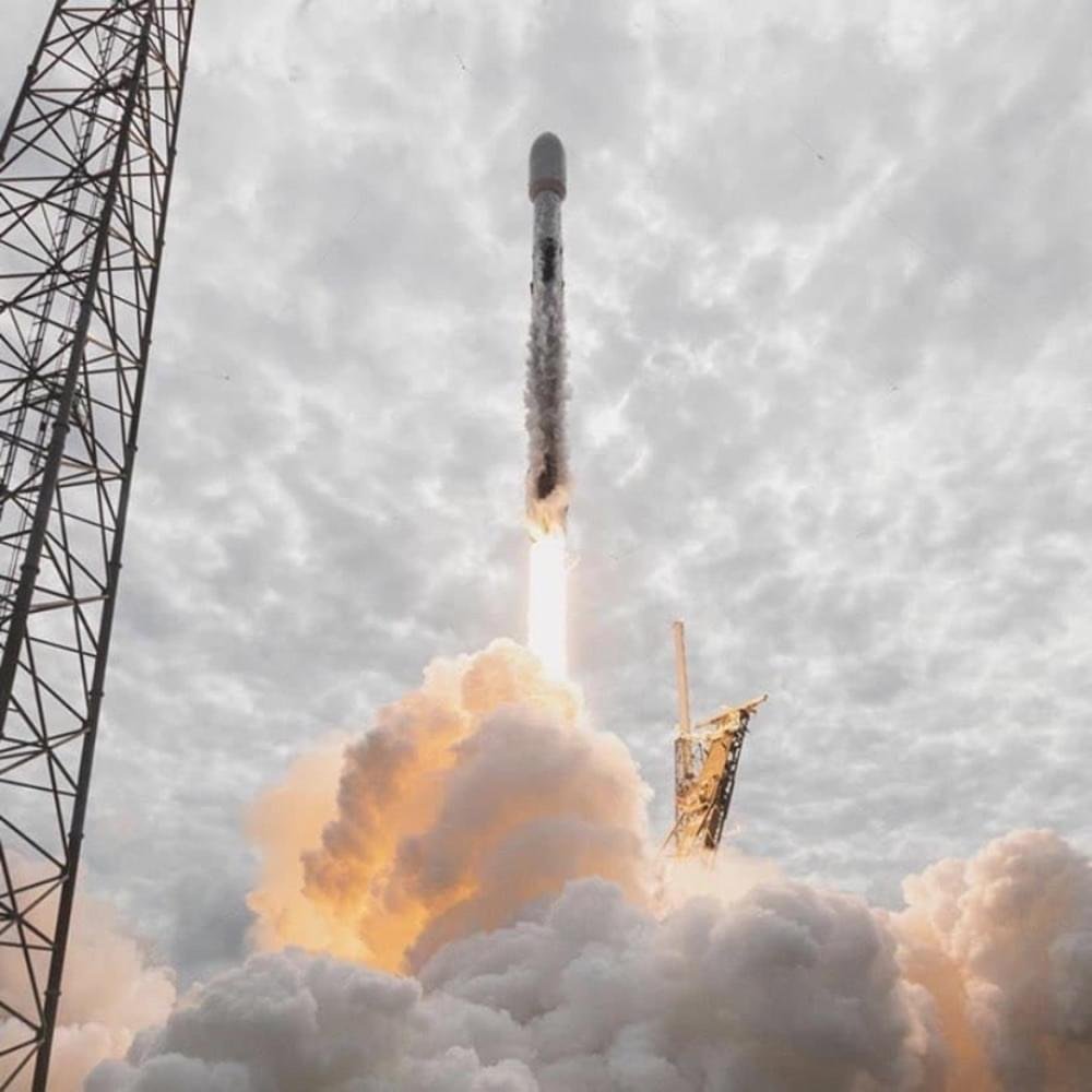 Cover della canzone '2019' di Nico Tesla ft. Drast