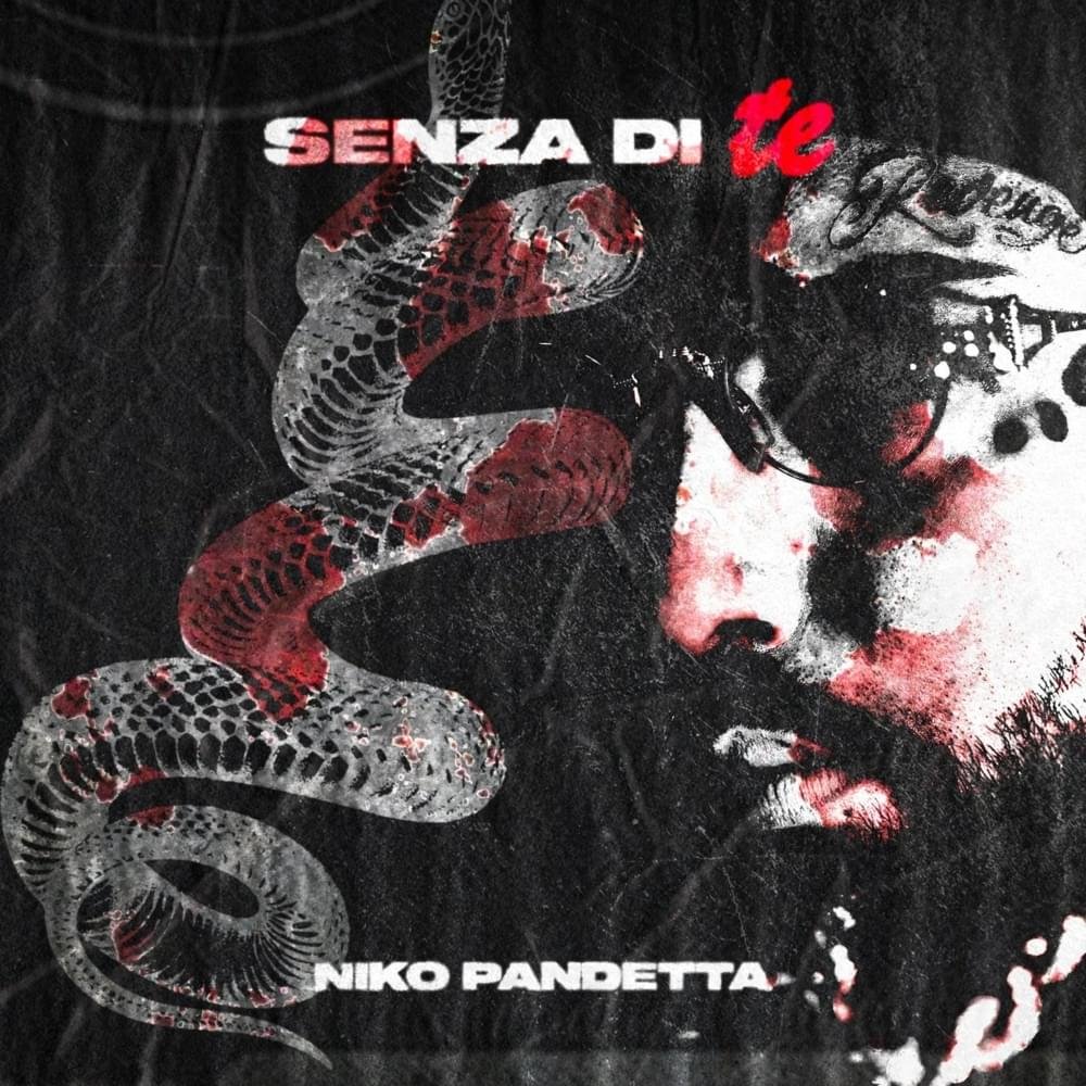 Cover della canzone 'Senza di te' di Niko Pandetta
