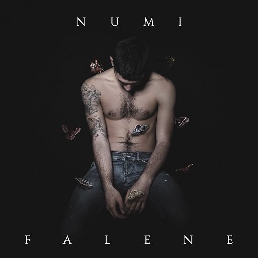 Cover dell'album 'Falene' di NUMI