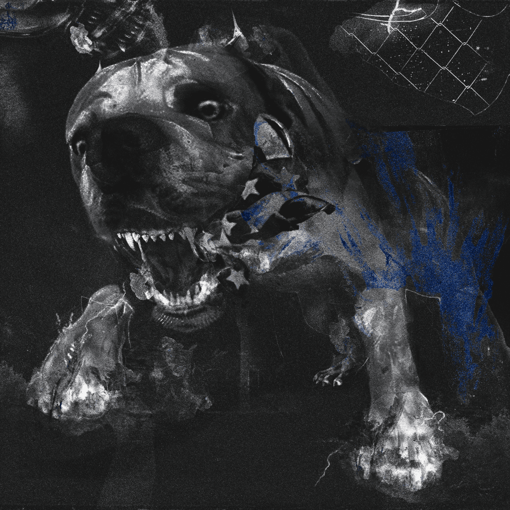 Cover della canzone 'Till I Die' di PRACI