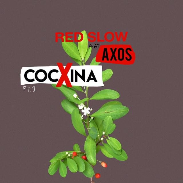 Cover della canzone 'Cocxina, Pt. 1' di RedSlow ft. Axos