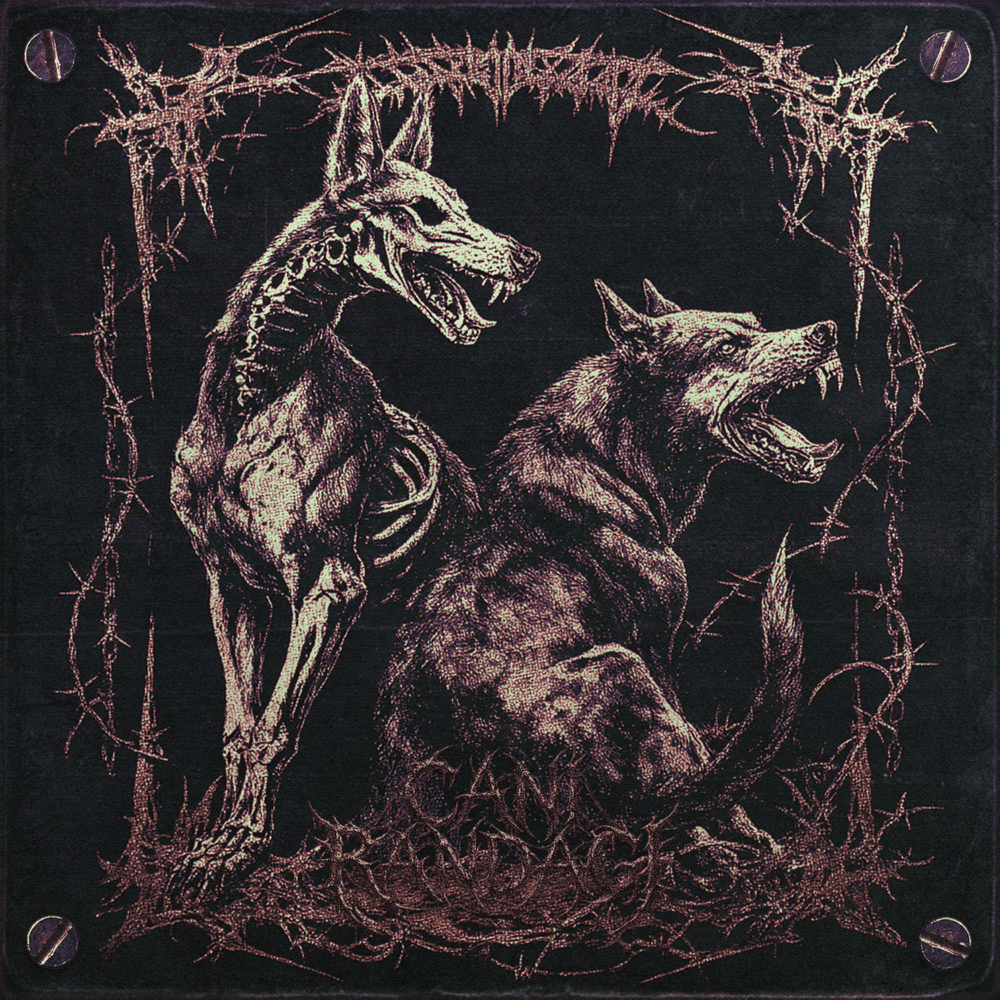 Cover della canzone 'CANI RANDAGI' di Scaccia ft. Melons