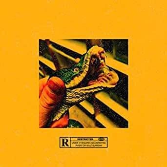 Cover della canzone 'Vipere' di Sgribaz ft. PRACI